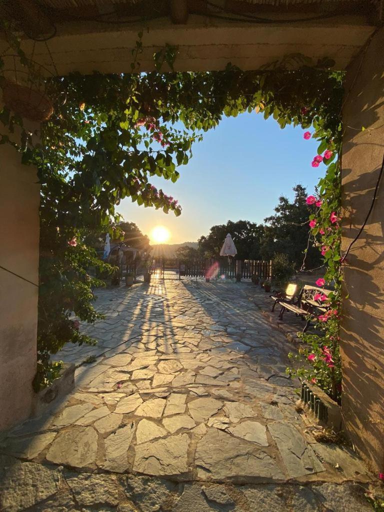 Casa Rural Balcon Del Camino Viejo Валенсия-де-Алькантар Экстерьер фото