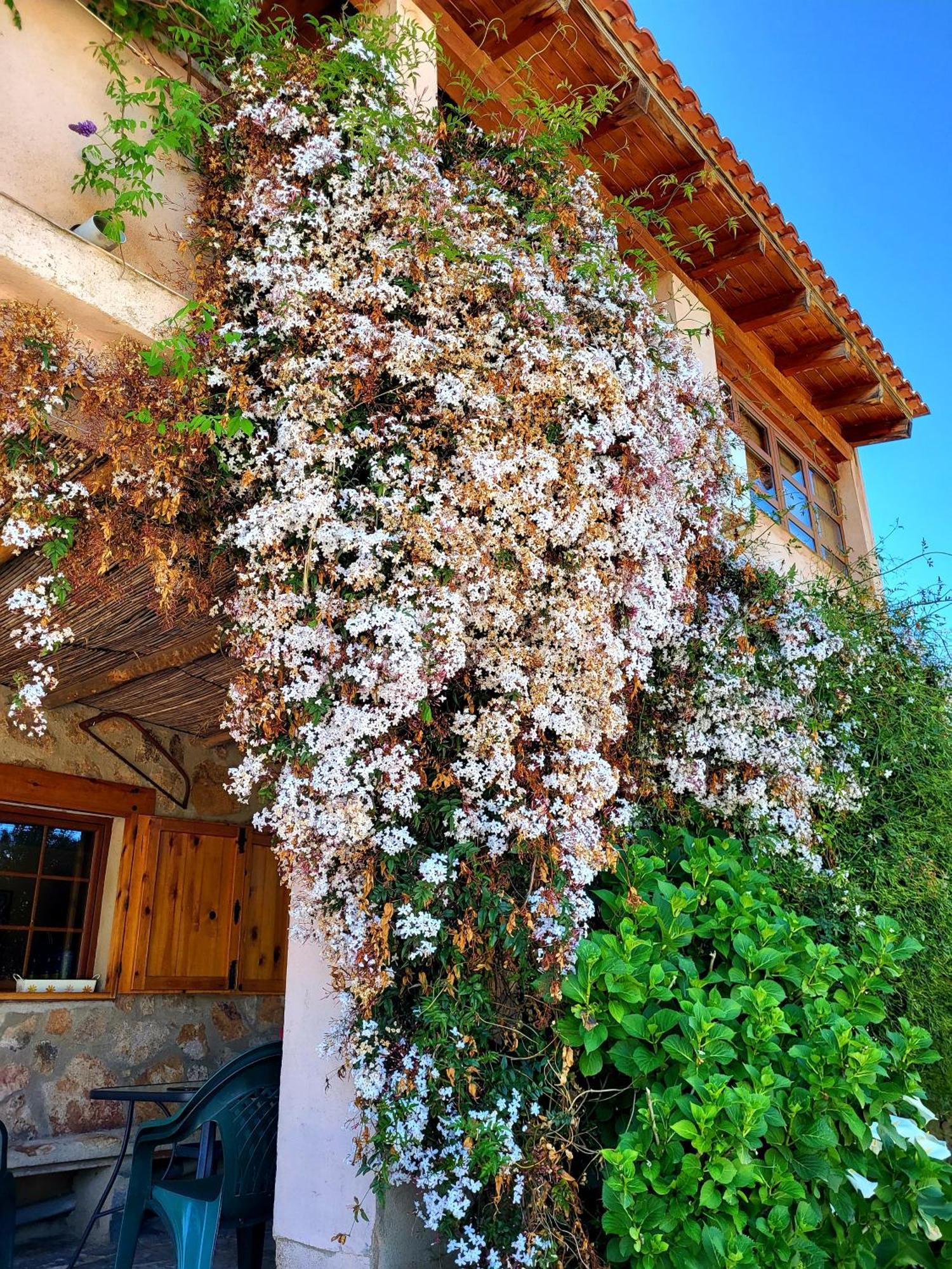 Casa Rural Balcon Del Camino Viejo Валенсия-де-Алькантар Экстерьер фото